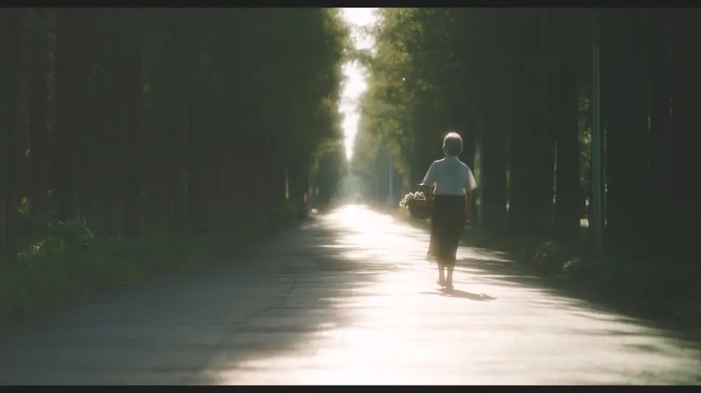 Gone With the&nbsp;Boat